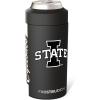 Iowa State Hawkeyes