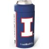 Illinois Fighting Illini