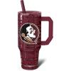 Florida State Seminoles | 3D